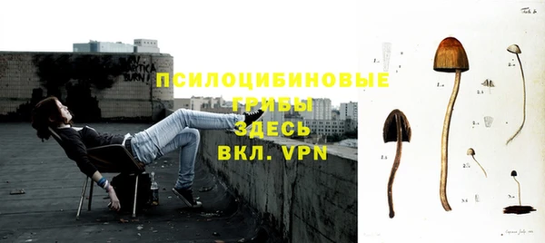 дмт Аркадак