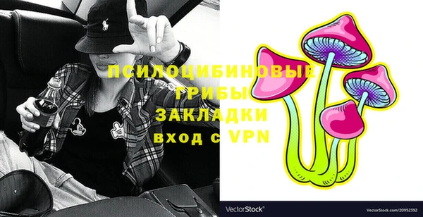дмт Аркадак