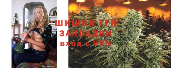дмт Аркадак