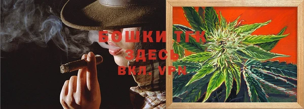 дмт Аркадак