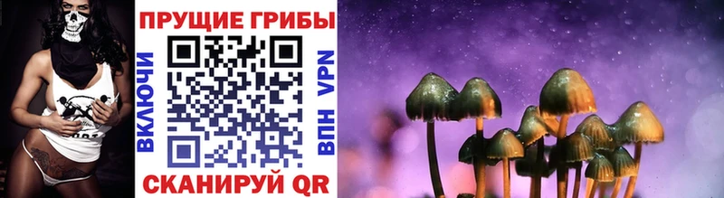 сколько стоит Семилуки Псилоцибиновые грибы Magic Shrooms